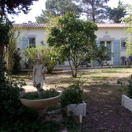 Mas Des Pins Bed and Breakfast Saint-Cyprien  Εξωτερικό φωτογραφία
