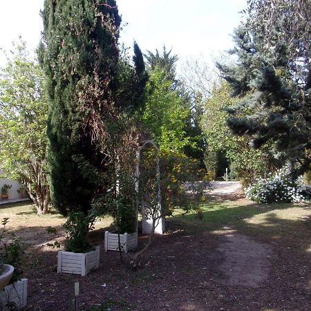 Mas Des Pins Bed and Breakfast Saint-Cyprien  Εξωτερικό φωτογραφία