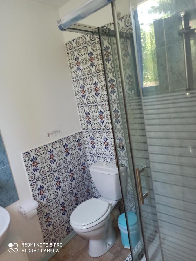Mas Des Pins Bed and Breakfast Saint-Cyprien  Εξωτερικό φωτογραφία