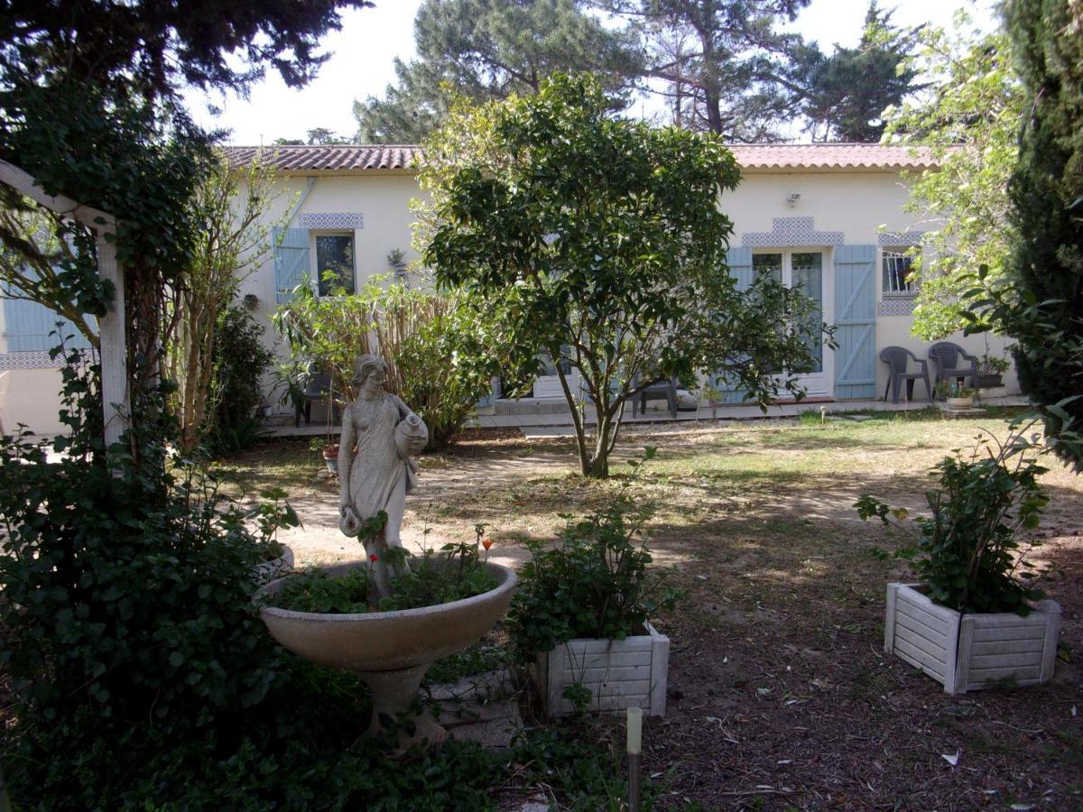 Mas Des Pins Bed and Breakfast Saint-Cyprien  Εξωτερικό φωτογραφία