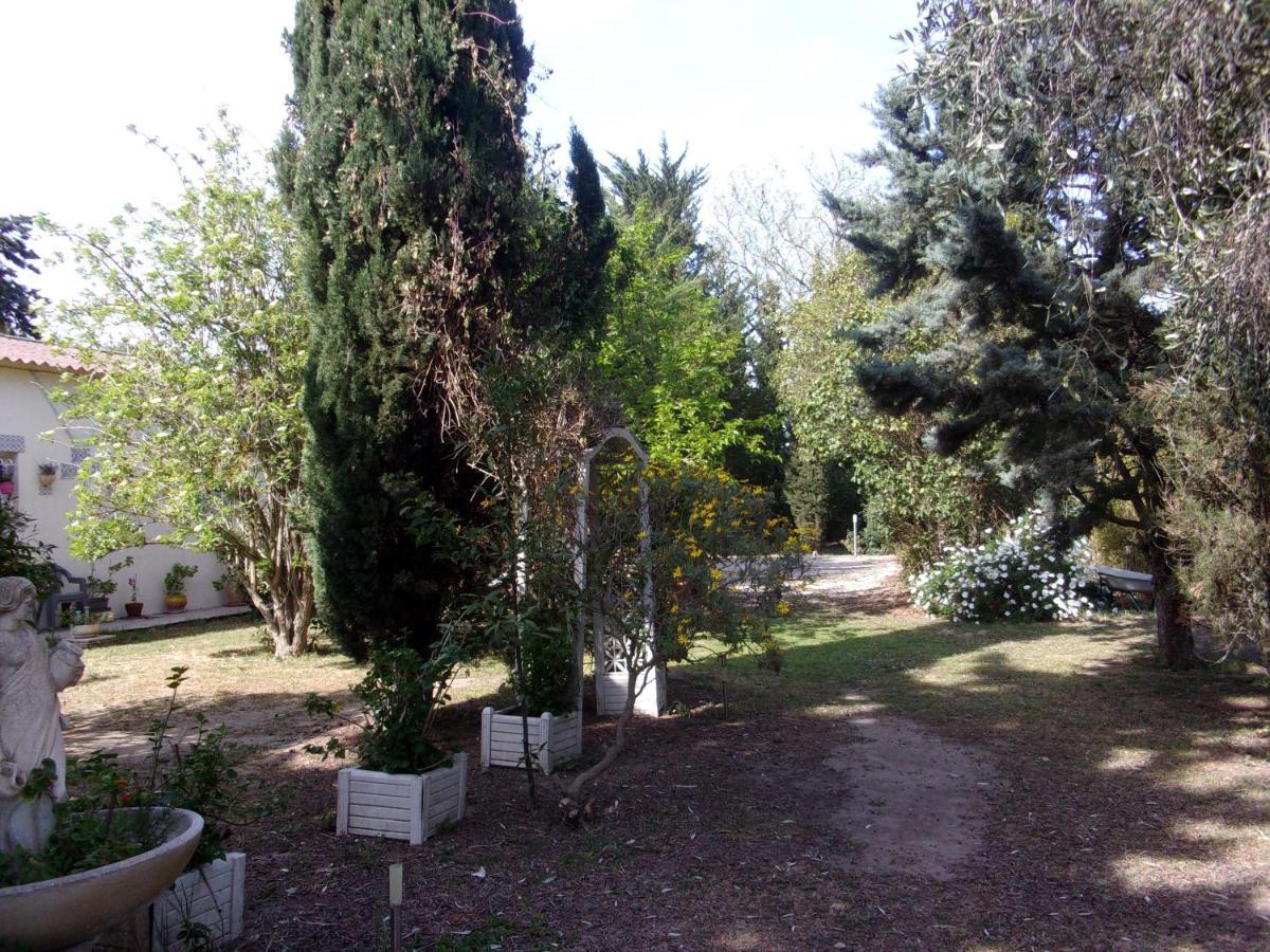 Mas Des Pins Bed and Breakfast Saint-Cyprien  Εξωτερικό φωτογραφία