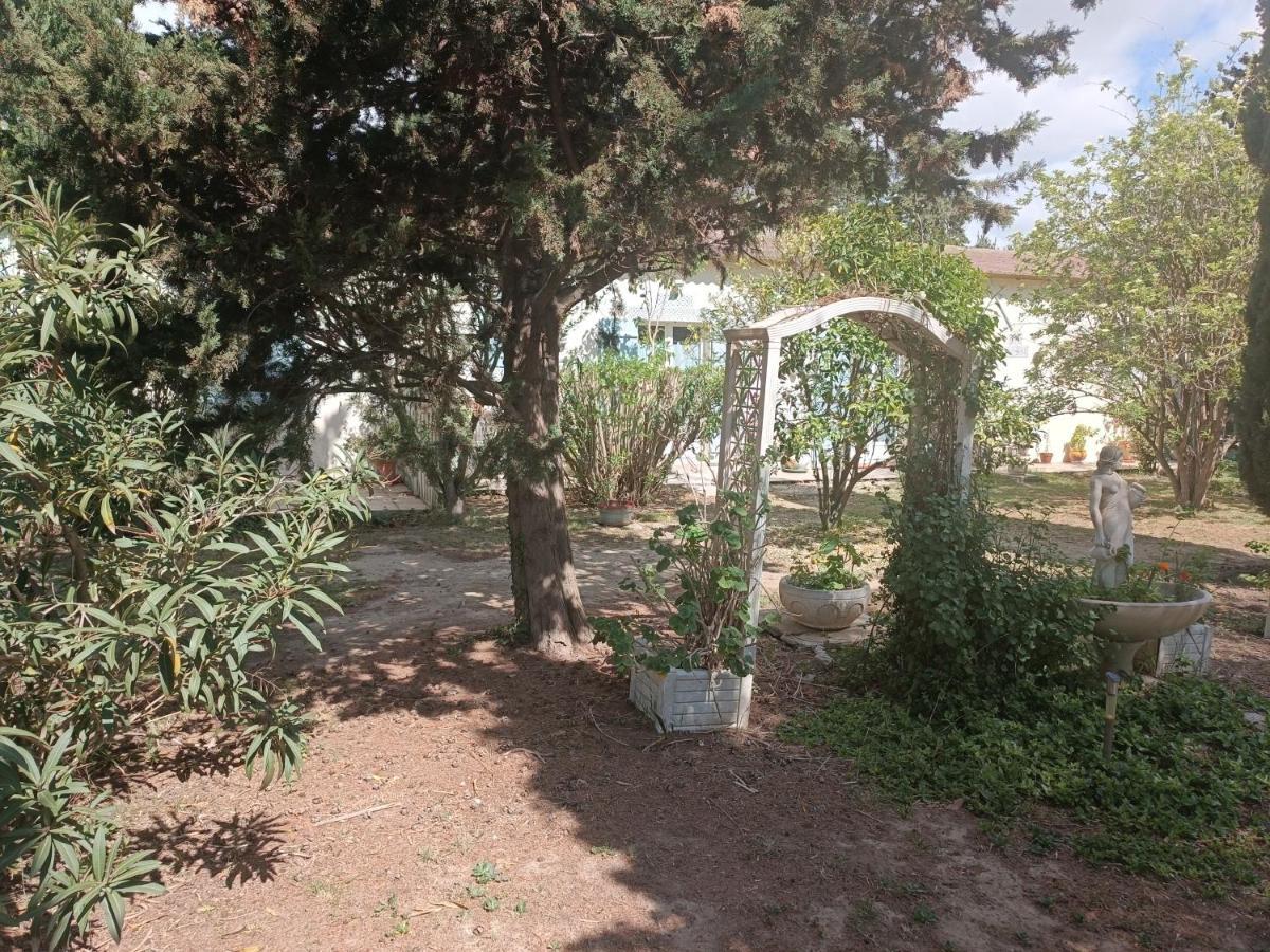 Mas Des Pins Bed and Breakfast Saint-Cyprien  Εξωτερικό φωτογραφία