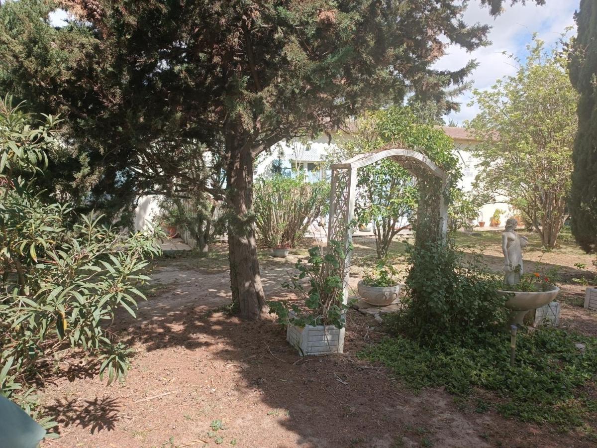 Mas Des Pins Bed and Breakfast Saint-Cyprien  Εξωτερικό φωτογραφία