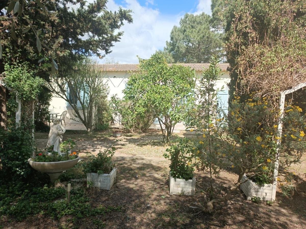 Mas Des Pins Bed and Breakfast Saint-Cyprien  Εξωτερικό φωτογραφία
